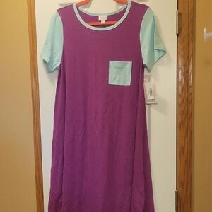 LuLaRoe Purple and Mint Dress